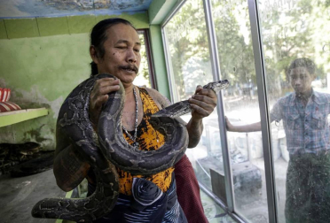 El templo budista de Seikta Thukha, en la región birmanda de Mingalardon, acoge a ejemplares de serpiente, pitones incluidas, que huyen del avance de la civilización.