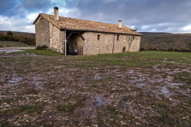 Imágenes de la Sierra de Lóquiz donde hasta 20 vehículos subieron y causaron estragos en caminos y terrenos para pasto.