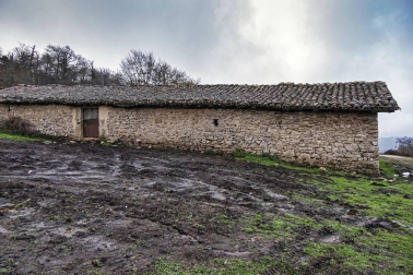 Imágenes de la Sierra de Lóquiz donde hasta 20 vehículos subieron y causaron estragos en caminos y terrenos para pasto.