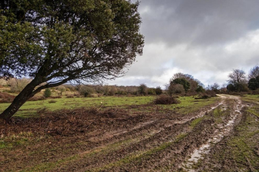 Imágenes de la Sierra de Lóquiz donde hasta 20 vehículos subieron y causaron estragos en caminos y terrenos para pasto.
