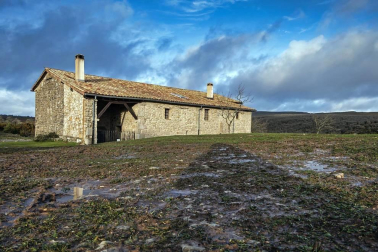 Imágenes de la Sierra de Lóquiz donde hasta 20 vehículos subieron y causaron estragos en caminos y terrenos para pasto.