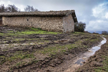 Imágenes de la Sierra de Lóquiz donde hasta 20 vehículos subieron y causaron estragos en caminos y terrenos para pasto.