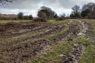 Imágenes de la Sierra de Lóquiz donde hasta 20 vehículos subieron y causaron estragos en caminos y terrenos para pasto.