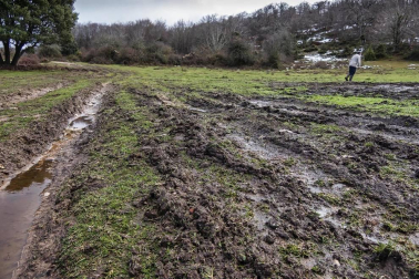 Imágenes de la Sierra de Lóquiz donde hasta 20 vehículos subieron y causaron estragos en caminos y terrenos para pasto.