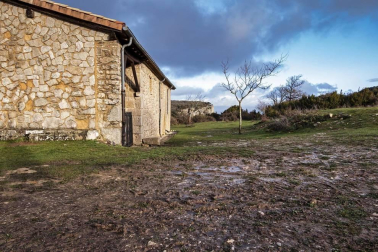 Imágenes de la Sierra de Lóquiz donde hasta 20 vehículos subieron y causaron estragos en caminos y terrenos para pasto.