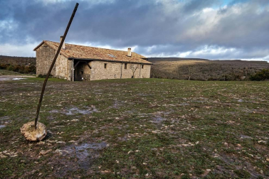 Imágenes de la Sierra de Lóquiz donde hasta 20 vehículos subieron y causaron estragos en caminos y terrenos para pasto.