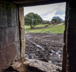 Imágenes de la Sierra de Lóquiz donde hasta 20 vehículos subieron y causaron estragos en caminos y terrenos para pasto.