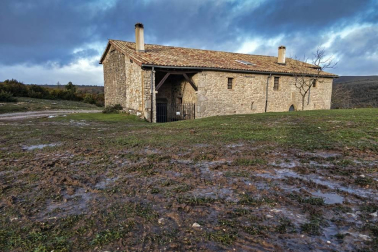 Imágenes de la Sierra de Lóquiz donde hasta 20 vehículos subieron y causaron estragos en caminos y terrenos para pasto.