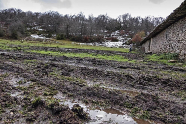 Imágenes de la Sierra de Lóquiz donde hasta 20 vehículos subieron y causaron estragos en caminos y terrenos para pasto.