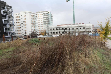 Un hotel que ocupará casi una manzana completa, una residencia de estudiantes y otra para personas mayores se van a repartir a lo largo de la avenida Juan Pablo II