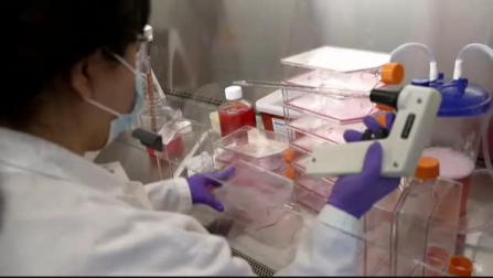 Vídeo: Pfizer trabaja a pleno rendimiento a unas horas de que comience la vacunación en EE UU