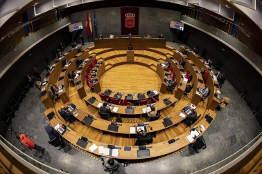 La semana del 7 al 13 de diciembre vista por los fotógrafos de Diario de Navarra.