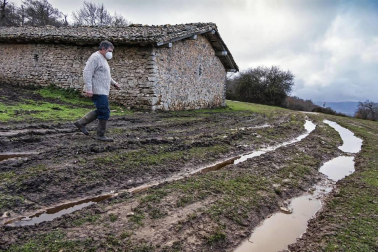La semana del 7 al 13 de diciembre vista por los fotógrafos de Diario de Navarra.