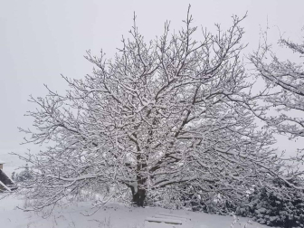 Fotos enviadas por los lectores durante el invierno de 2020.