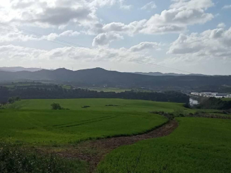 Fotos enviadas por los lectores durante el invierno de 2020-2021.