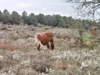 Fotos enviadas por los lectores durante el invierno de 2020-2021.