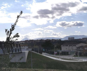 Fotos enviadas por los lectores durante el invierno de 2020-2021.