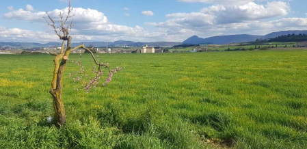 Fotos enviadas por los lectores durante el invierno de 2020-2021.