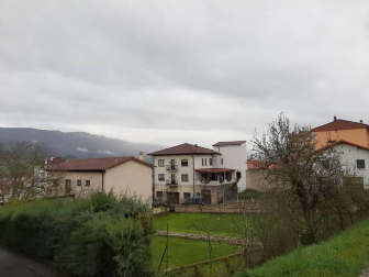 Fotos enviadas por los lectores durante el invierno de 2020-2021.