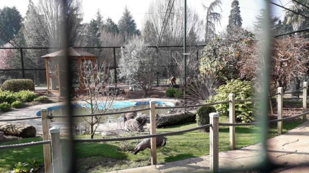 Fotos enviadas por los lectores durante el invierno de 2020-2021.