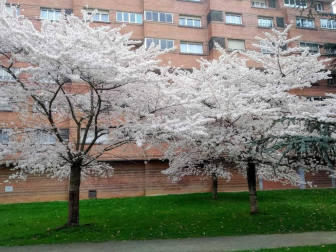 Fotos enviadas por los lectores durante el invierno de 2020-2021.