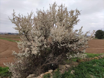 Fotos enviadas por los lectores durante el invierno de 2020-2021.