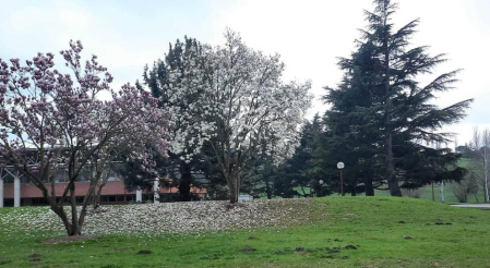 Fotos enviadas por los lectores durante el invierno de 2020-2021.