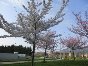 Fotos enviadas por los lectores durante el invierno de 2020-2021.