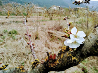 Fotos enviadas por los lectores durante el invierno de 2020-2021.