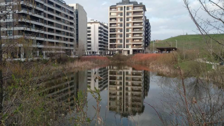 Fotos enviadas por los lectores durante el invierno de 2020-2021.