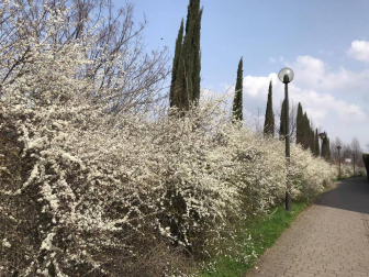 Fotos enviadas por los lectores durante el invierno de 2020-2021.