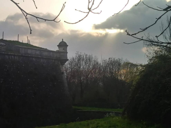 Fotos enviadas por los lectores durante el invierno de 2020-2021.