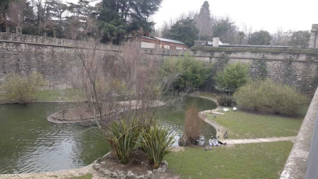 Fotos enviadas por los lectores durante el invierno de 2020-2021.