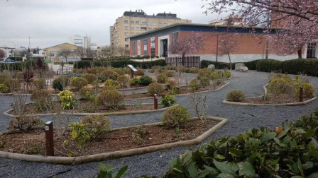 Fotos enviadas por los lectores durante el invierno de 2020-2021.