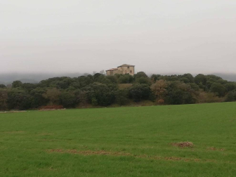 Fotos enviadas por los lectores durante el invierno de 2020-2021.
