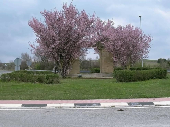 Fotos enviadas por los lectores durante el invierno de 2020-2021.