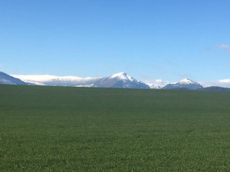 Fotos enviadas por los lectores durante el invierno de 2020-2021.