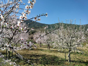 Fotos enviadas por los lectores durante el invierno de 2020-2021.