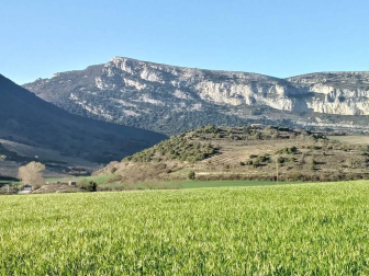 Fotos enviadas por los lectores durante el invierno de 2020-2021.