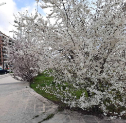 Fotos enviadas por los lectores durante el invierno de 2020-2021.