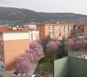 Fotos enviadas por los lectores durante el invierno de 2020-2021.
