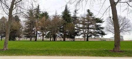Fotos enviadas por los lectores durante el invierno de 2020.