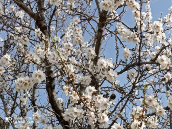 Fotos enviadas por los lectores durante el invierno de 2020.