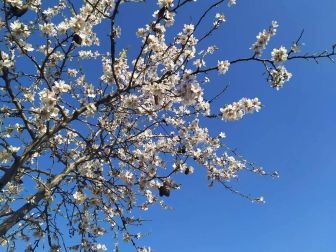 Fotos enviadas por los lectores durante el invierno de 2020.