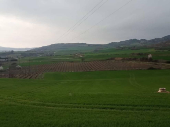 Fotos enviadas por los lectores durante el invierno de 2020.