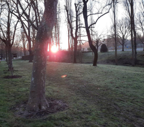 Fotos enviadas por los lectores durante el invierno de 2020.