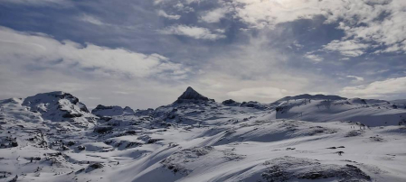 Fotos enviadas por los lectores durante el invierno de 2020.