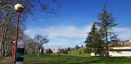 Fotos enviadas por los lectores durante el invierno de 2020.