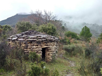 Fotos enviadas por los lectores durante el invierno de 2020.