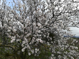 Fotos enviadas por los lectores durante el invierno de 2020.